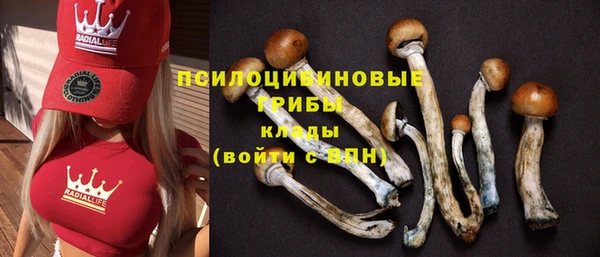 бошки Алексин