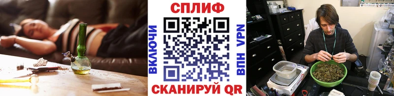 Шишки марихуана сатива  продажа наркотиков  Энгельс 